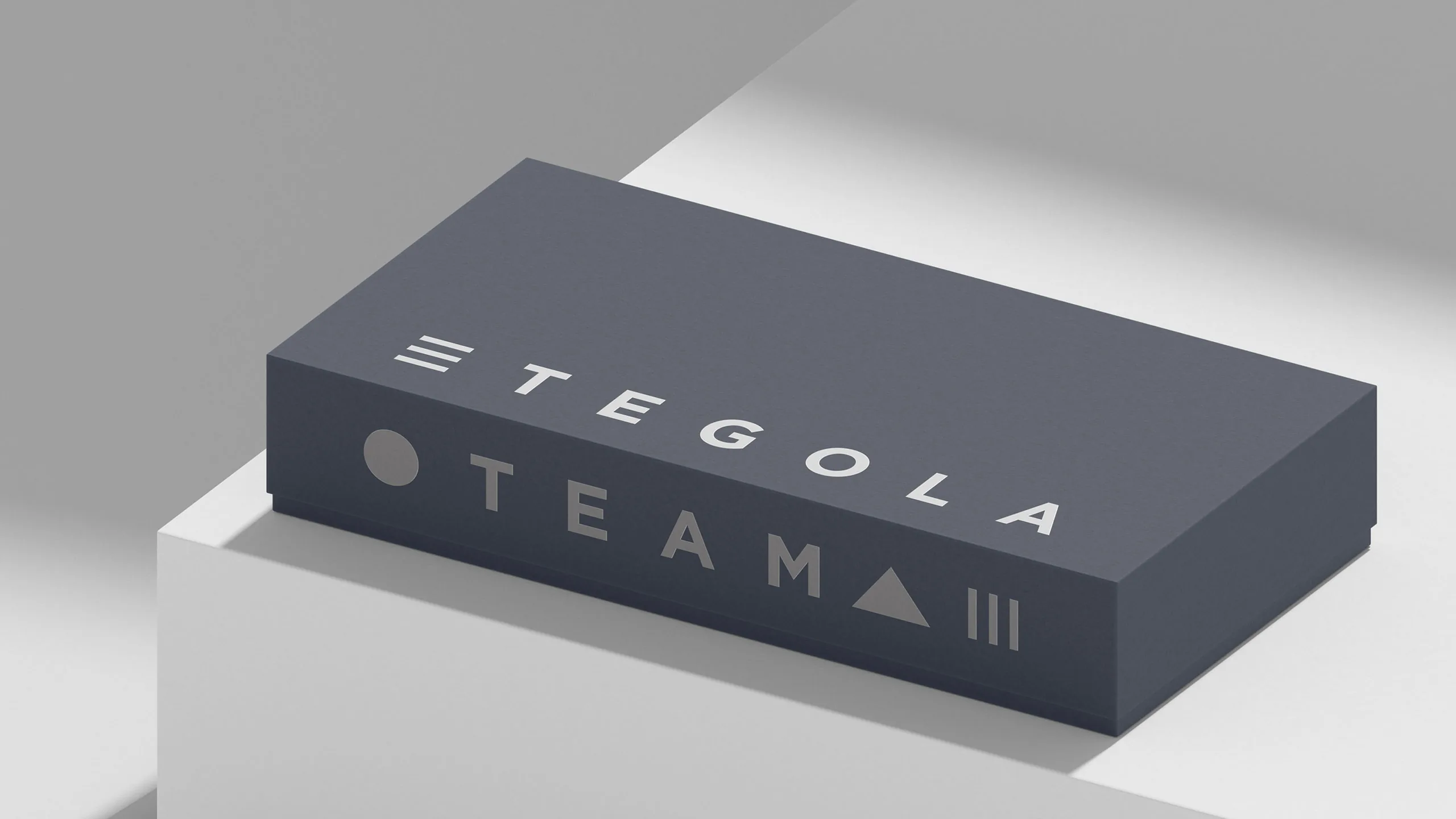 Подарочная коробка мерча TEGOLA TEAM