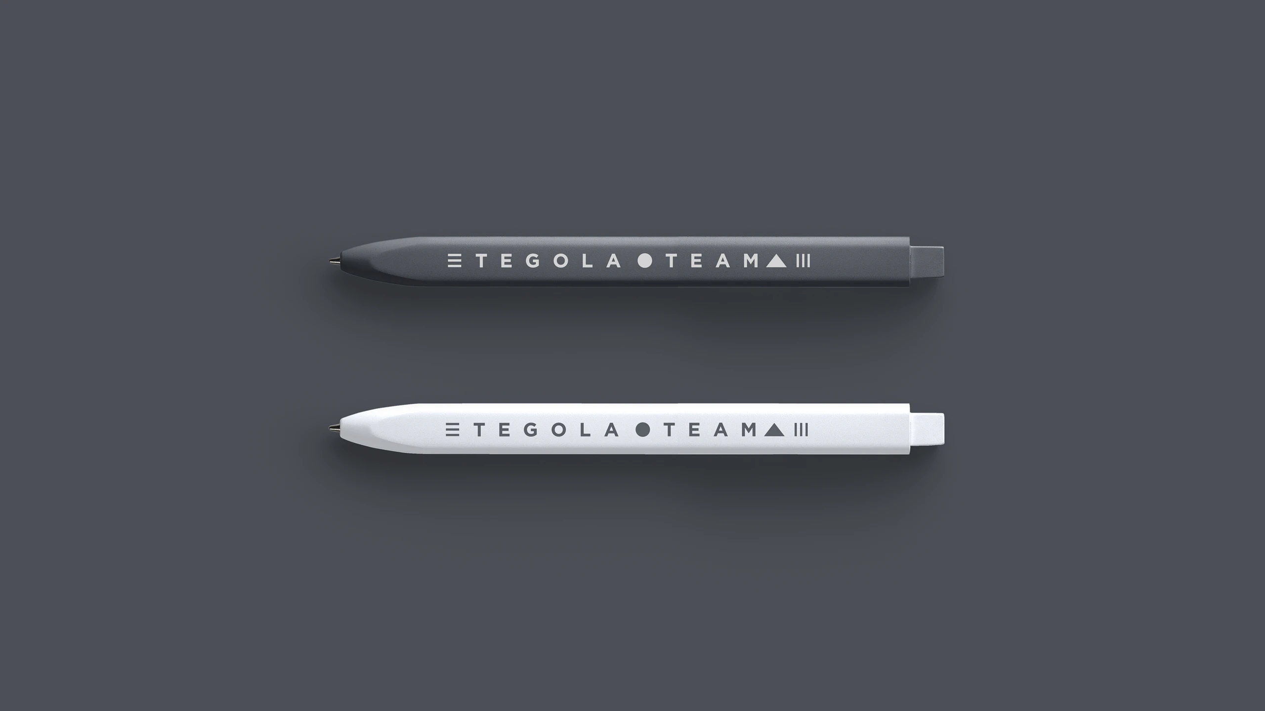 Фирменные ручки TEGOLA TEAM